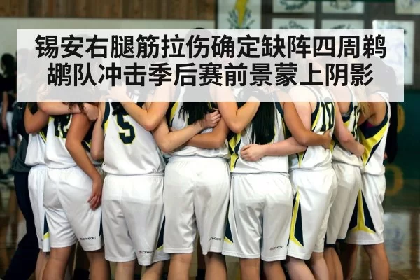 锡安右腿筋拉伤确定缺阵四周鹈鹕队冲击季后赛前景蒙上阴影