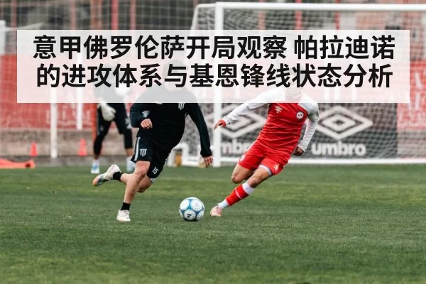 意甲佛罗伦萨开局观察 帕拉迪诺的进攻体系与基恩锋线状态分析